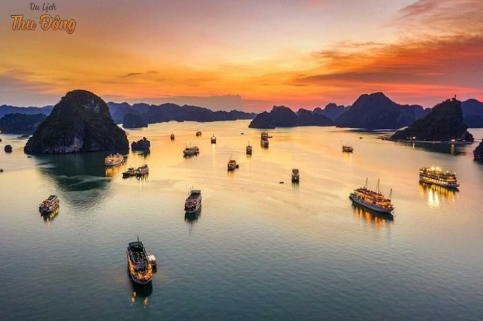 Công ty Du lịch Khát Vọng Việt chuyên tổ chức và điều hành các tour du lịch trong nước