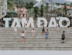 Một trong những ưu điểm lớn khi đi tour Tam Đảo của công ty là mức giá hấp dẫn