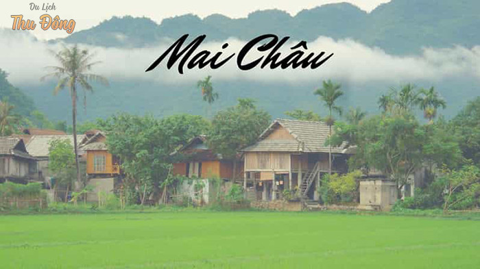 Để có thể cảm nhận hết vẻ đẹp của Mai Châu thì chắc chắn bạn phải ghé thăm nơi đây một lần.