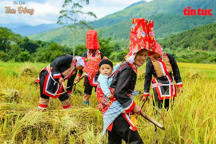 Bản Ngàn Chuồng nơi sinh sống chủ yếu của người Dao