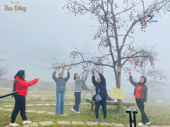 Check-in tại các vườn cây trái