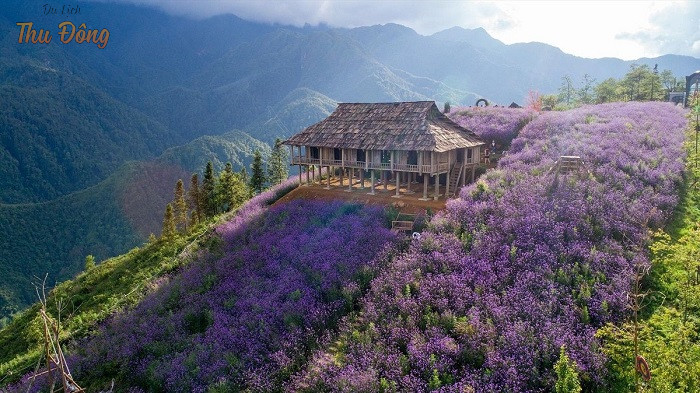 Tour du lịch Bắc Hà 3 ngày 2 đêm giá từ 3tr - 8tr